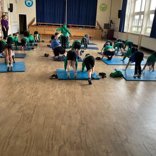 Yogi Group