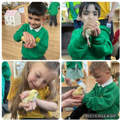 Chicks!