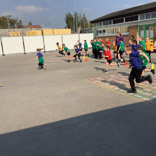 IMG3268-Copy